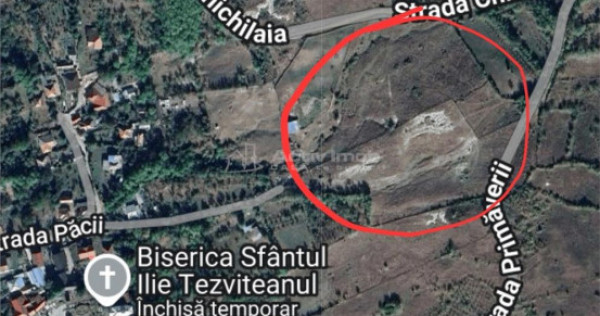 Teren extravilan 10000 mp, com Panatau