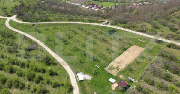 Teren extravilan de v&acirc;nzare, 4.854 mp, zona nord-vest