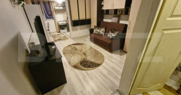 Garsonieră de vanzare, Dragos Voda