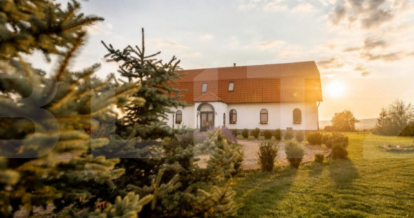 Conac de v&acirc;nzare 7 camere cu bai proprii, cramă, ciubăr ?