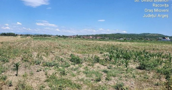 Cota de 1/3 din teren situat in Mioveni, Jud Arges 24.11