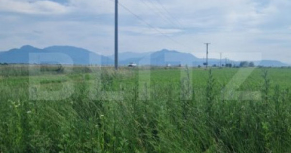 Teren extravilan, 1203 mp pretabil pentru investitie ,casa p