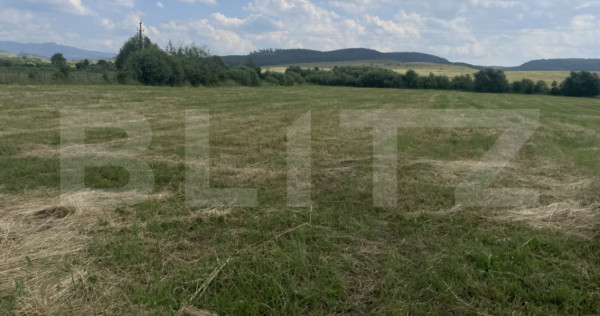 Teren extravilan 1200 mp – Dorolea, aproape de Mănăstire