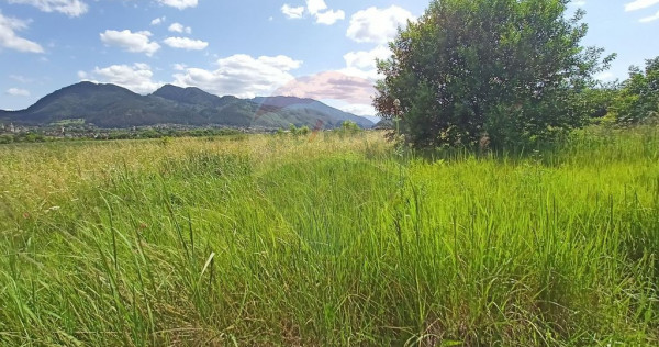 COMISION 0%! Teren 712mp Sacele / Strada Postavarului