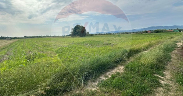 DE VANZARE- Teren INTRAVILAN in Coltau