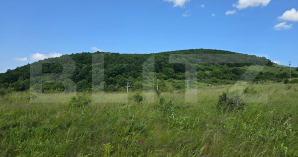 Teren potrivit pentru investitie in zona complexului Domeniu