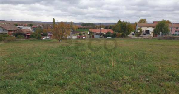 RECO Teren intravilan 900 mp Biharia