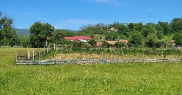 Teren extravilan arabil Tisau, ID: R2590475