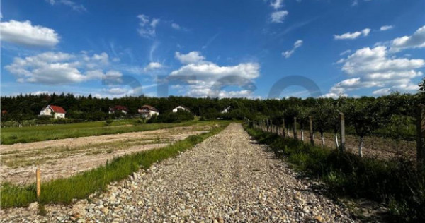 RECO Teren Intravilan, Alparea, Comuna Osorhei