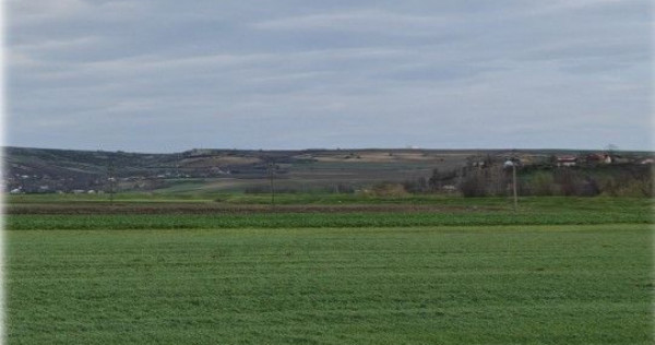 Teren Andrieseni, cota parte 1/20, ID: R2603082