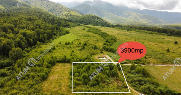 Teren intravilan 3900 mp Porumbacu de Sus, Sibiu