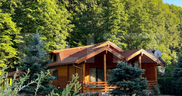 Cabana modernă în Câmpul Cetății – confort și natur?