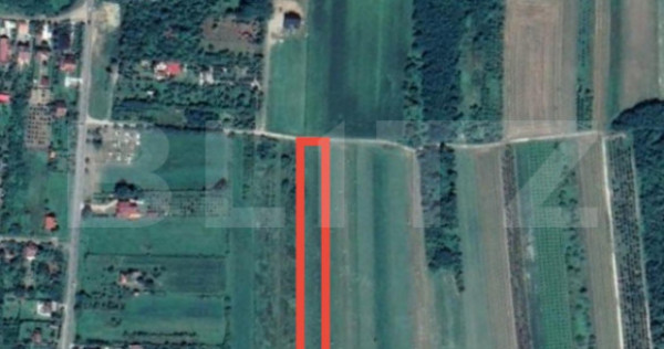 Teren de vânzare în Viile Satu Mare – Strada Oglinzilor,
