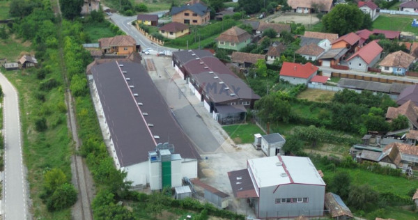 Spațiu industrial de vânzare în Sângeorgiu de Pădure...