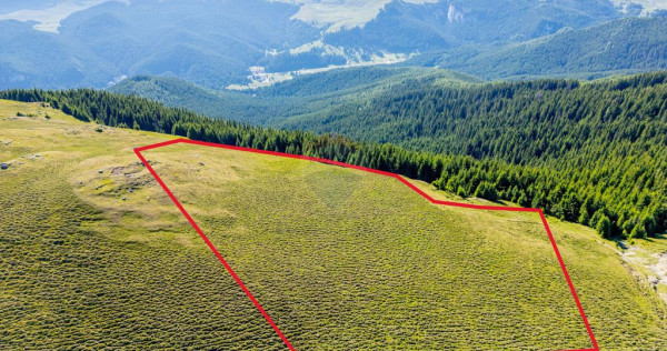 Teren intravilan Transbucegi / Oportunitate de dezvoltare...