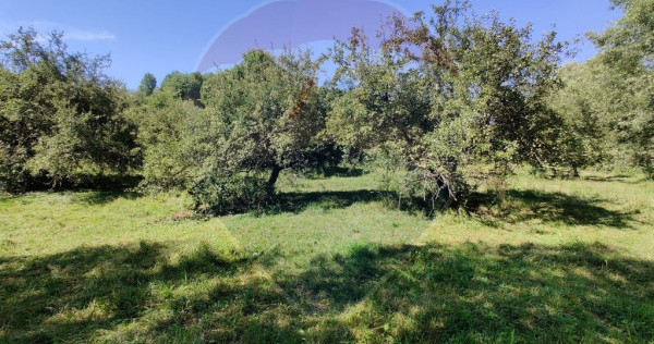 Teren intravilan in Remetea Chioarului