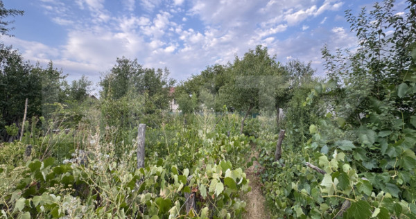 Casa batranesca, 97,57 mp utili, 1100 mp teren, Podari