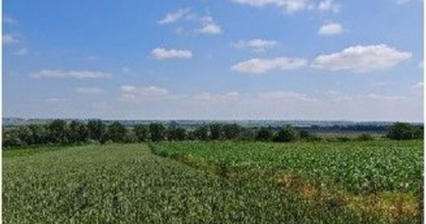 Teren extravilan Bosanci, ID: R2649419