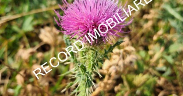 Teren intravilan 1095 mp, zona Molitura Apahida