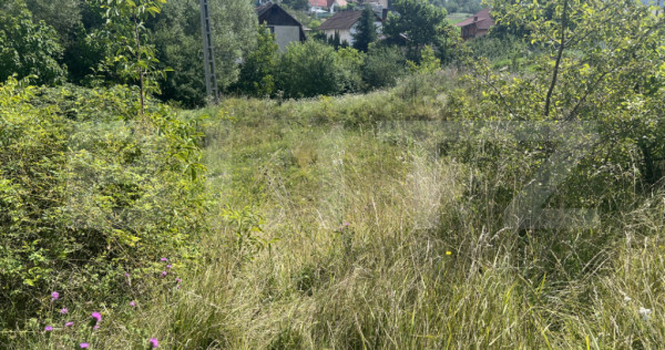 Teren 1400 mp, intravilan &ndash; Viile Dealul Mic, zonă liniș