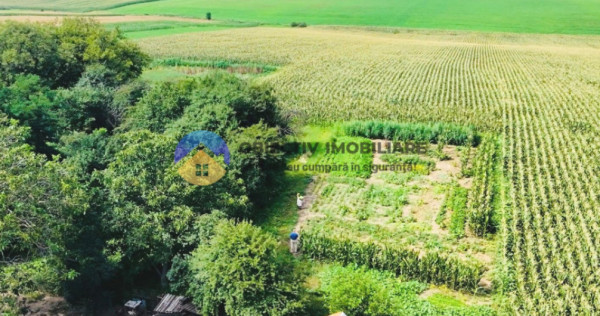 TEREN intravilan 9.126 mp - comuna STEFAN cel MARE