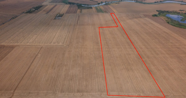 FRUMUSANI - PASAREA, TEREN 14420 MP, FRONT 40 M!