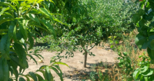 Casă de vanzare în centrul Cobadinului, COMISION 0%