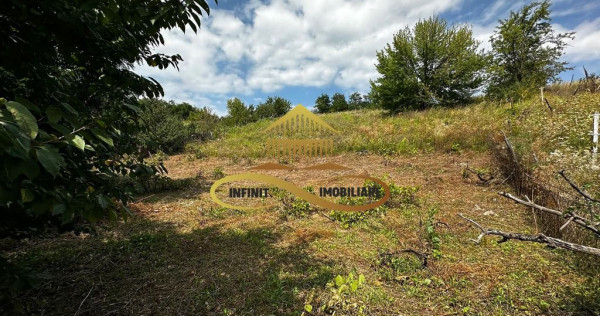 Teren extravilan 1870 mp-de vanzare 14€/mp Sohodol / Bacau