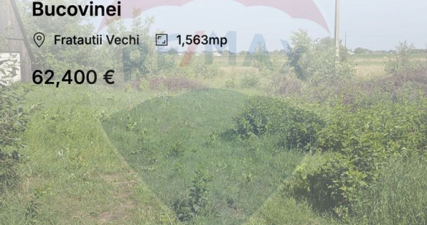 Teren 1,563mp Fratautii Vechi / Calea Bucovinei