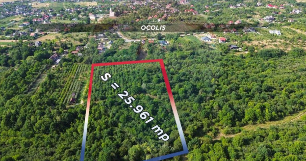 OPORTUNITATE TEREN DE VANZARE-1500 euro/AR-Satu Nou De Jos
