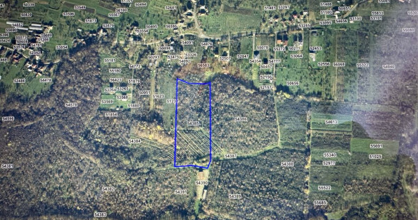 TEREN DE VANZARE PENTRU DEZVOLTARE IMOBILIARA