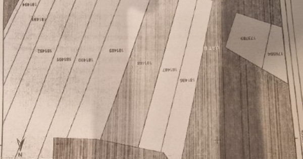 Teren intravilan Poiana Mică