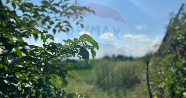 Teren intravilan 3.765 mp cu casă – Bodești de Jos