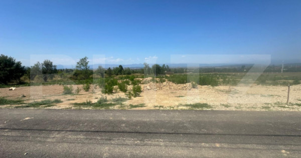 Teren intravilan, 1591 mp, zona Danesti