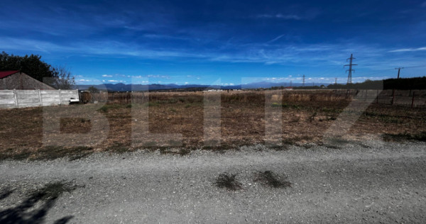 Teren Prelungirea Panduri