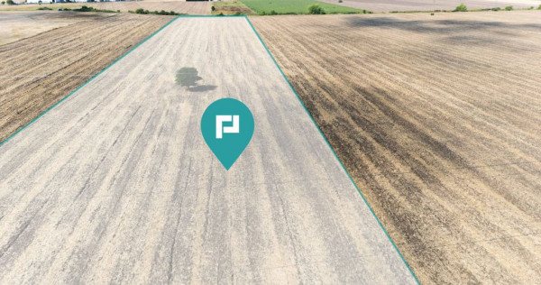 Teren extravilan, zona Freidorf-Şagului, Timişoara