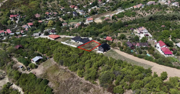 RECO Teren intravilan, Podgoria