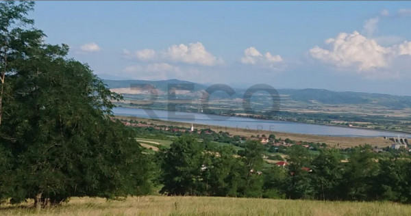 Reco Teren extravilan Tileagd