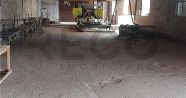 RECO Hale predestinate prelucrarea lemnului, loc. Auseu, sat