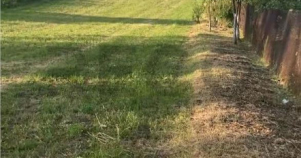 Reco Teren 5800 mp in Ghenetea | Strada asfaltata recent