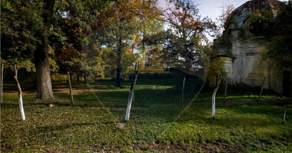 Domeniu Baronial de vanzare in localitatea CIL , Judet Arad