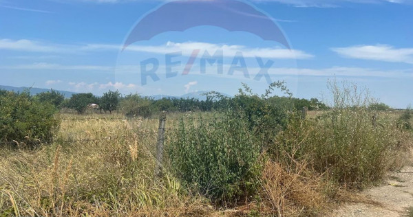 Teren intravilan Golesti / Aleea Lacramioarei