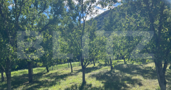 Teren intravilan 500mp Saratel