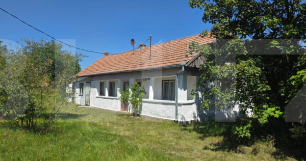 Casa tărănească in centru- Hătuica