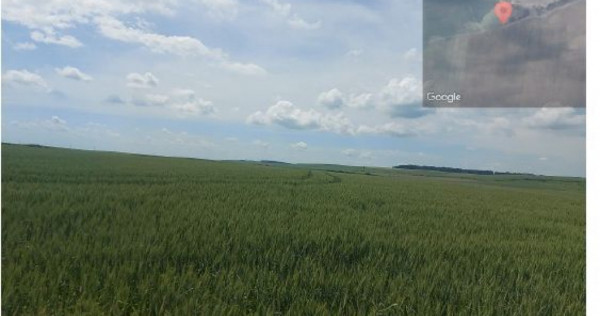 Teren extravilan 5000 mp Loc Plesoiu, Jud Olt