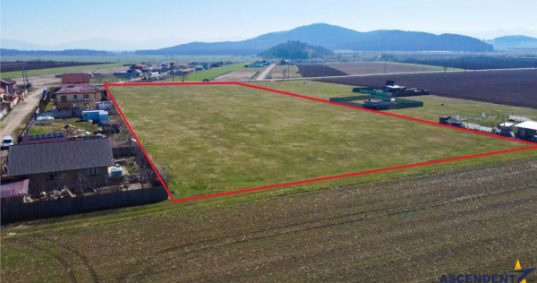 FILM! Domeniu urban, 18.200mp, cu planuri validate, Bod, Bra