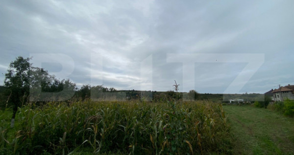 Teren intravilan de vânzare, 2.691 mp – Mărișelu, jude?