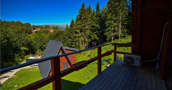 FILM!Ansamblu Case mobilate, echipate, 5.700mp teren, rezide