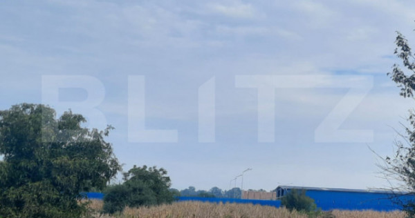 Teren extravilan de vanzare suprafata 1.700 mp ,zona Careiul