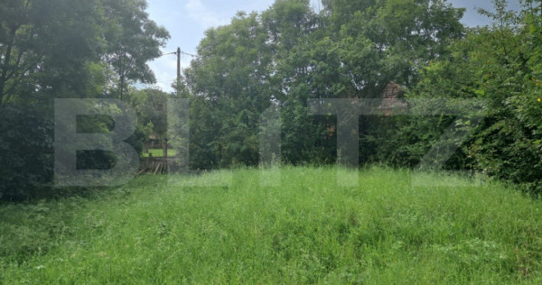 Teren Intravilan 2861 Mp Zona Tureni